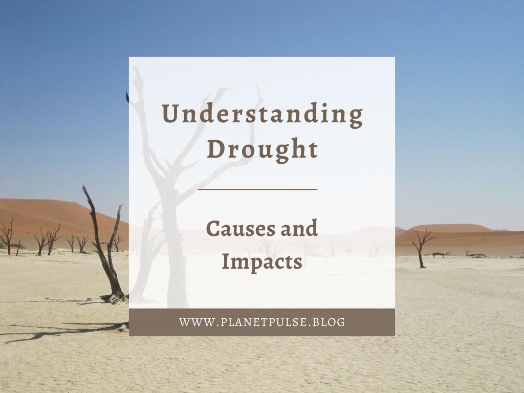 Understanding Drought: Causes and&nbsp;Impacts