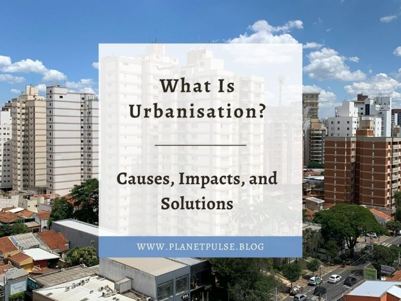 What Is Urbanisation? Causes, Impacts, and&nbsp;Solutions