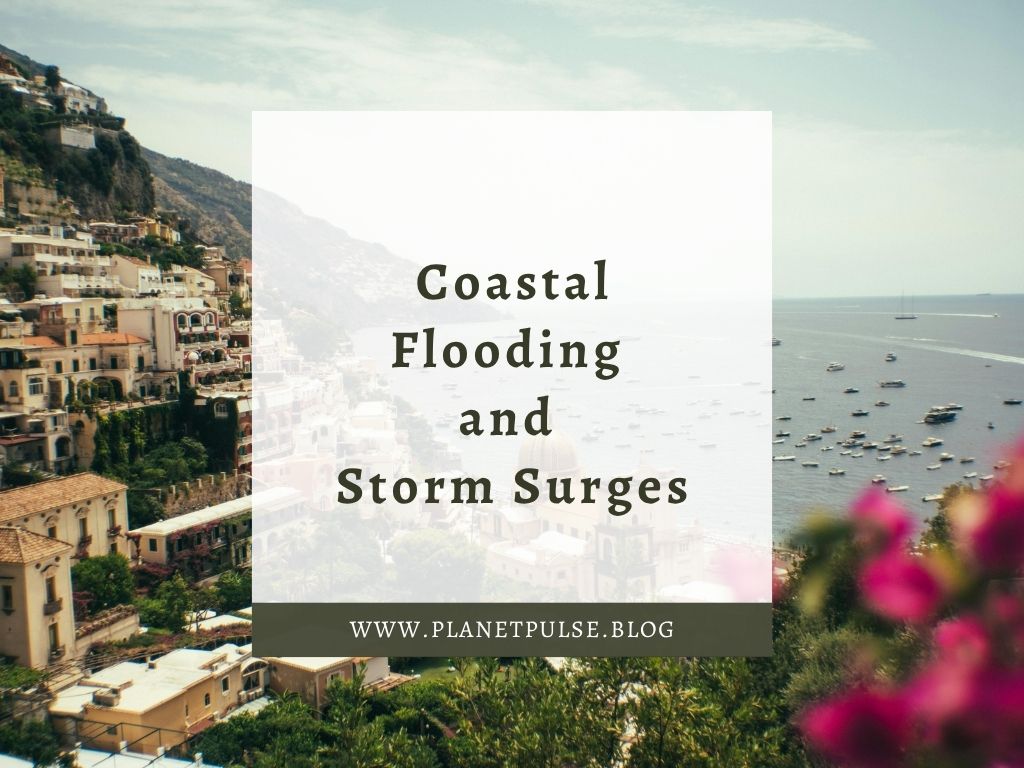 Coastal Flooding and Storm Surges