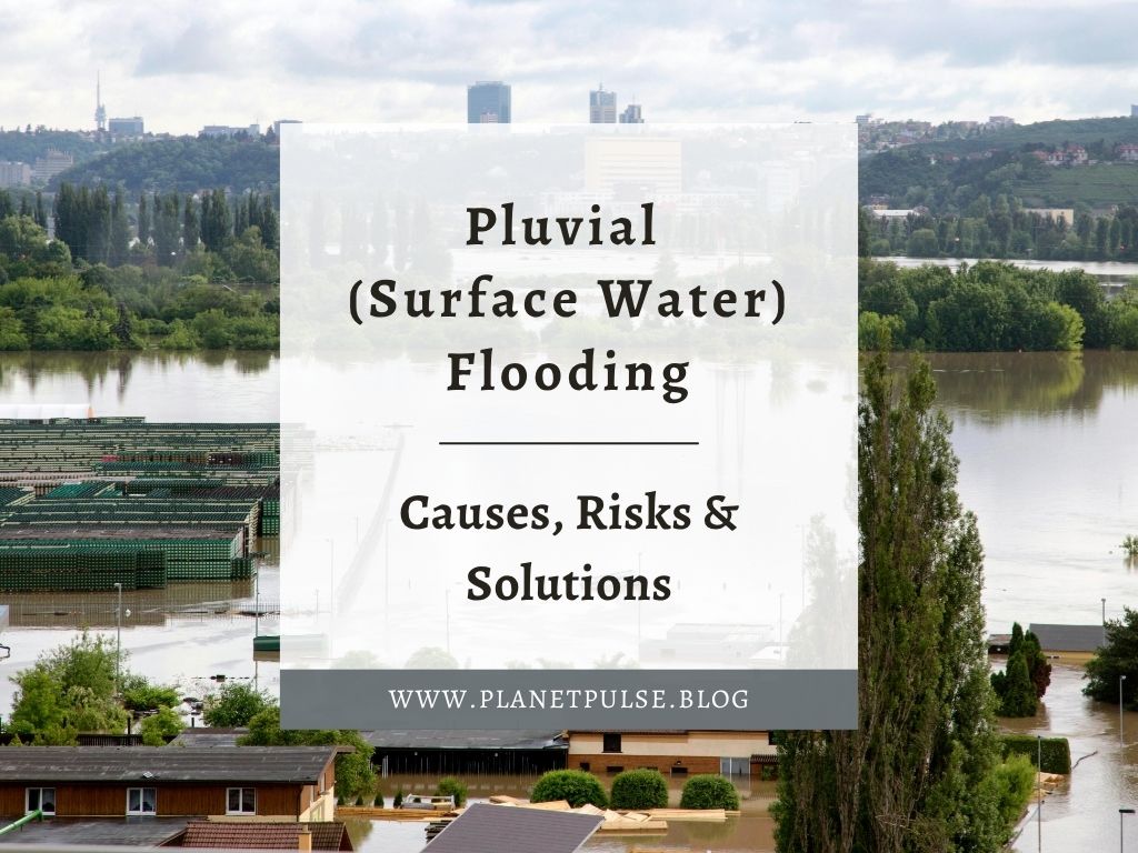 Pluvial (Surface Water ) Flooding: Causes, Risks &&nbsp;Solutions