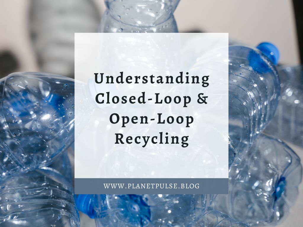 Understanding Closed-Loop & Open-Loop&nbsp;Recycling