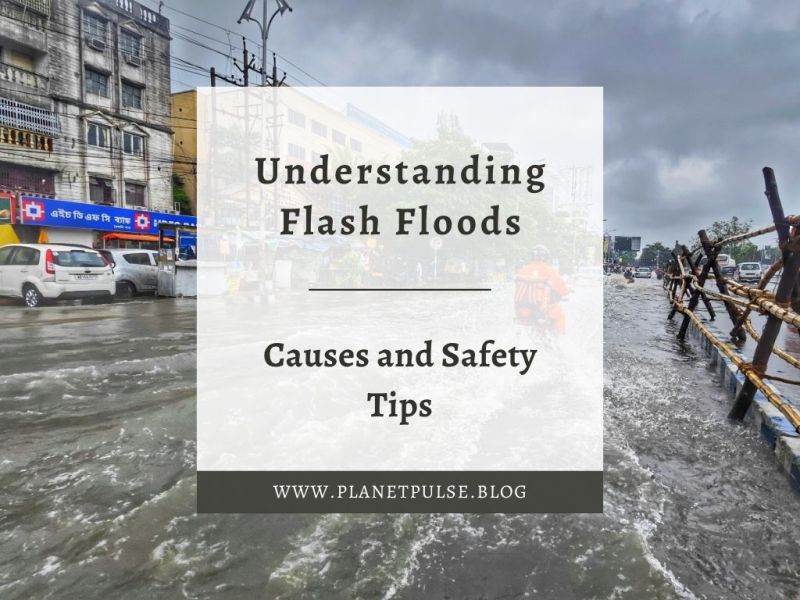 Understanding Flash Floods: Causes and Safety&nbsp;Tips
