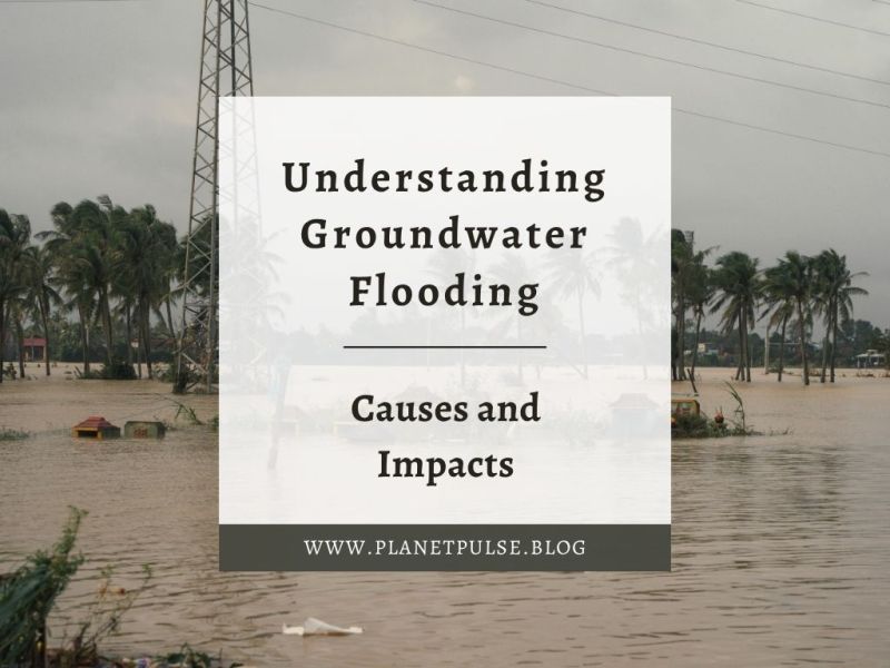 Understanding Groundwater Flooding: Causes and&nbsp;Impacts