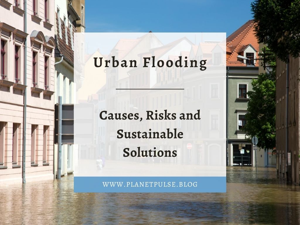 Urban Flooding: Causes, Risks and Sustainable&nbsp;Solutions