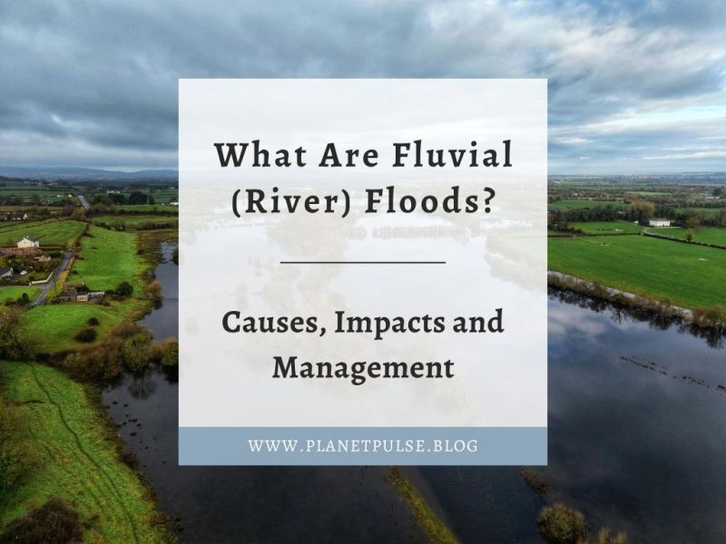 What Are Fluvial (River) Floods? Causes, Impacts and&nbsp;Management