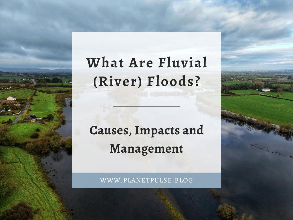What Are Fluvial (River) Floods? Causes, Impacts and Management