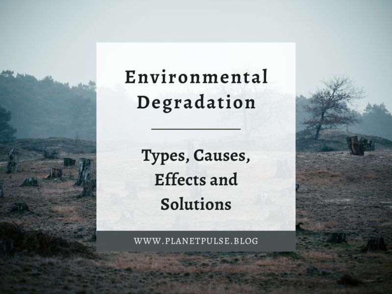 Environmental Degradation: Types, Causes, Effects and&nbsp;Solutions
