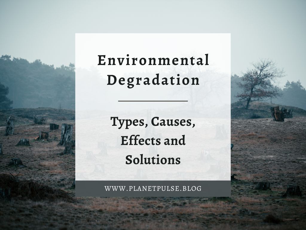 Environmental Degradation: Types, Causes, Effects and Solutions