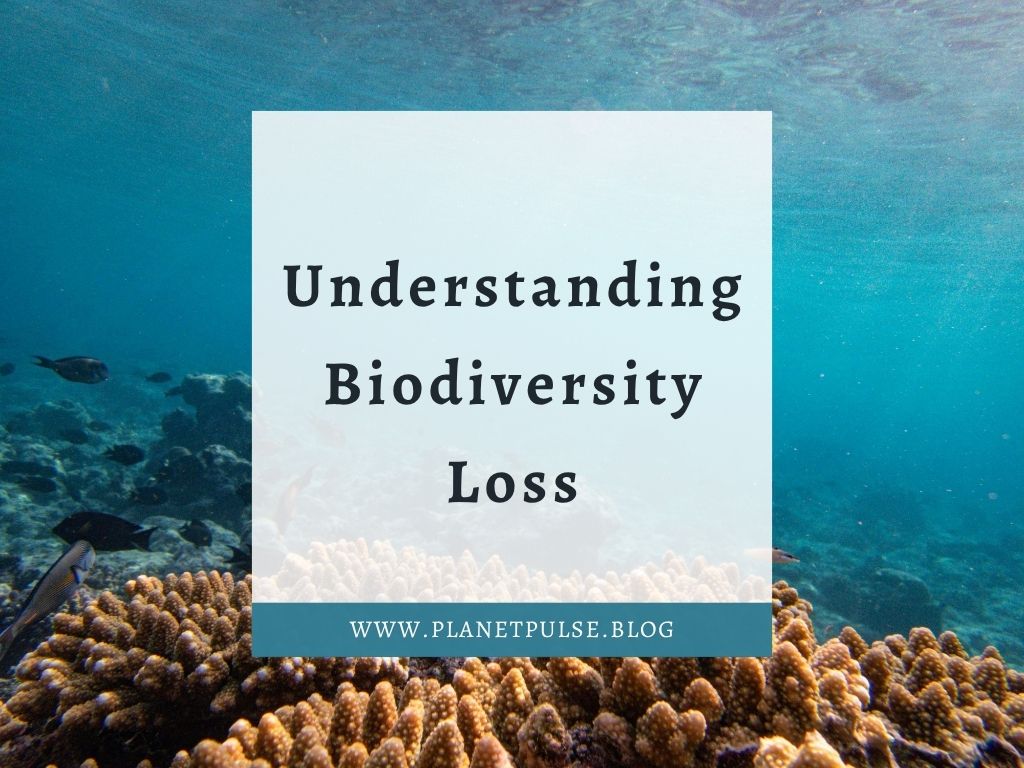 Understanding Biodiversity Loss