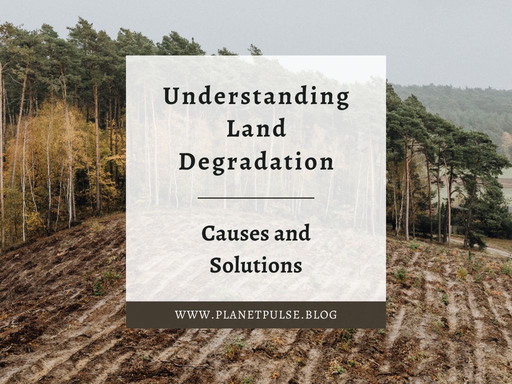 Understanding Land Degradation: Causes and Solutions