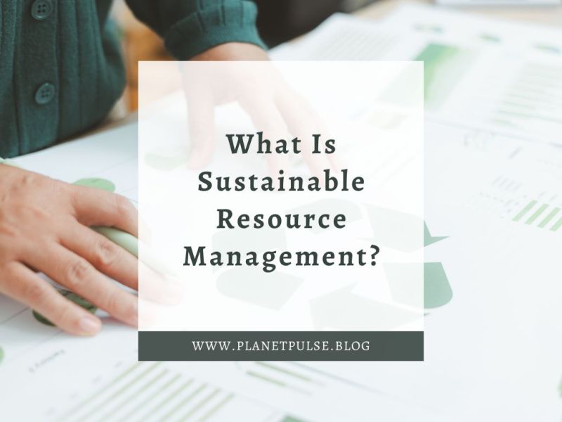 What Is Sustainable Resource&nbsp;Management?