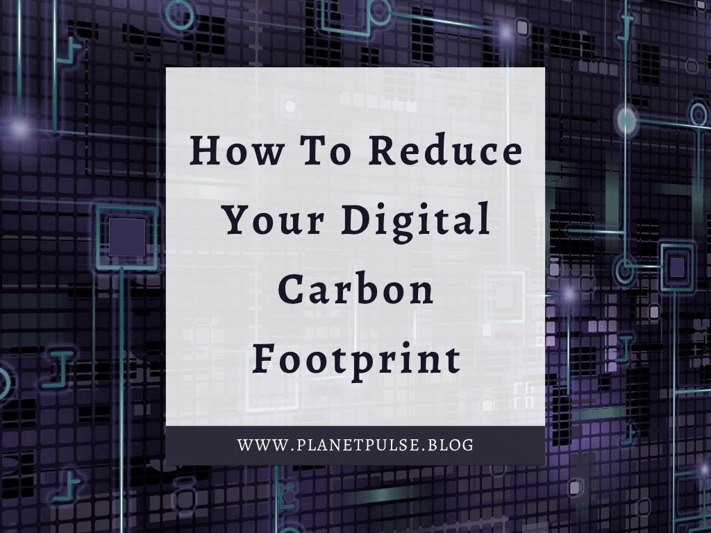 How To Reduce Your Digital Carbon Footprint