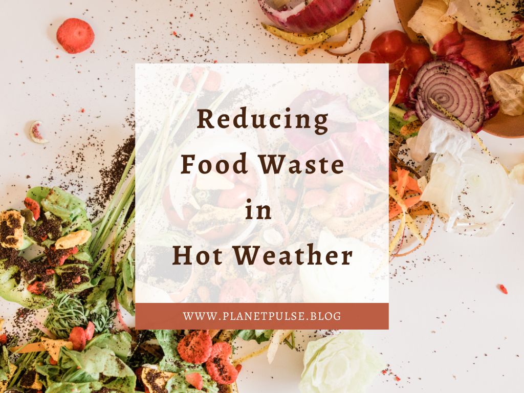 Reducing Food Waste in Hot Weather