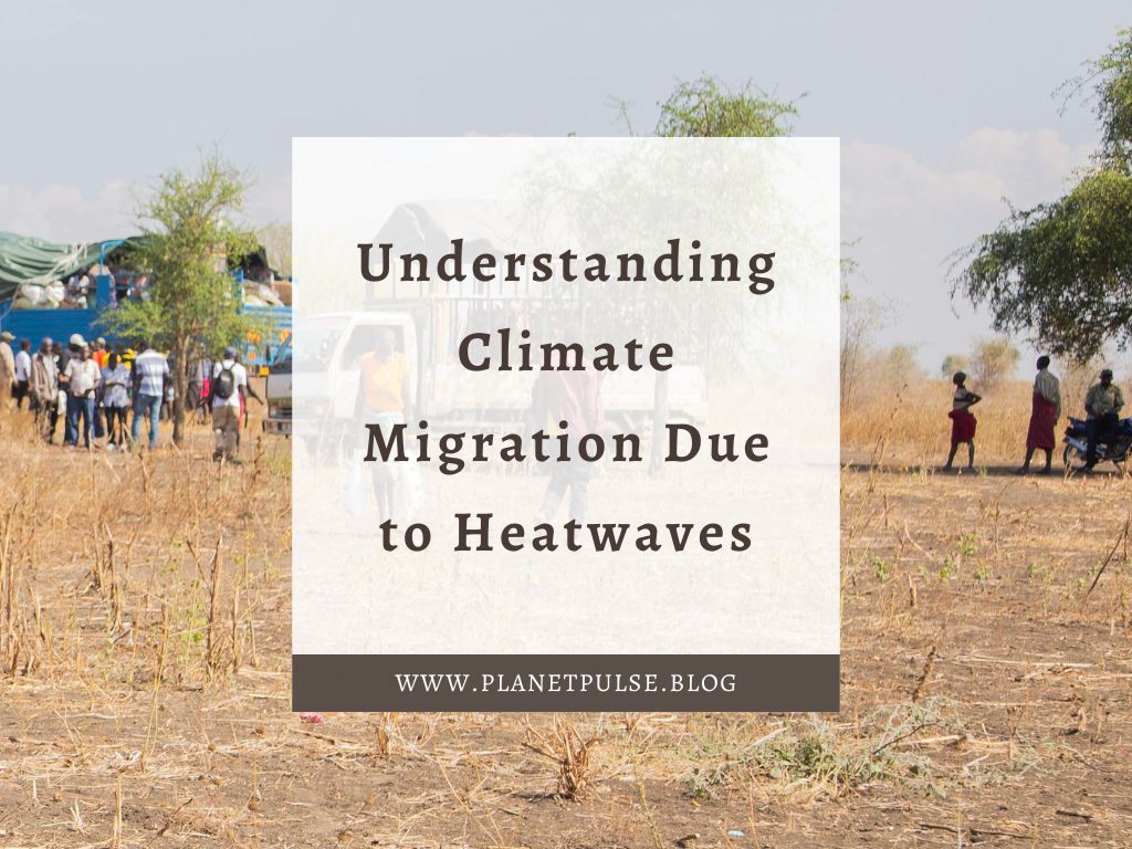 Understanding Climate Migration Due to Heatwaves