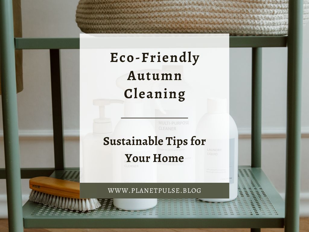 Eco-Friendly Autumn Cleaning: Sustainable Tips for Your Home