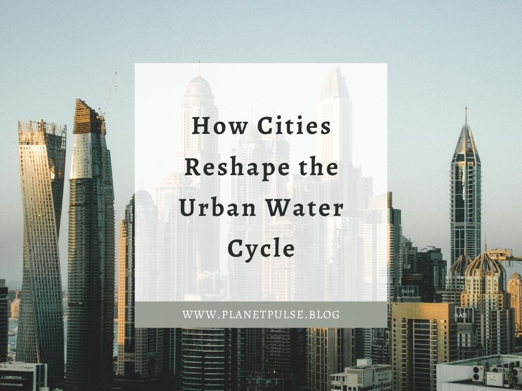 How Cities Reshape the Urban Water Cycle