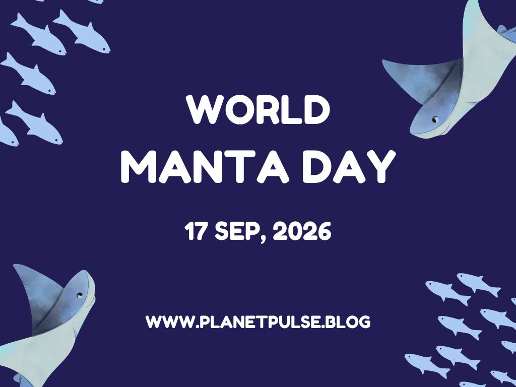 World Manta Day 2026